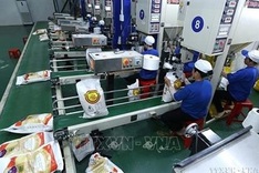 Vietnam able to ensure food security in all circumstances: Official