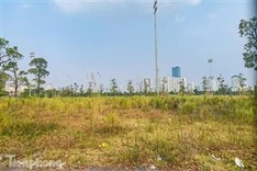 Hanoi’s F1 racetrack covered by wild grass