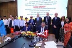 Danish firms to intensify policy dialogue with Vietnamese counterparts