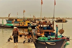 Quang Nam fishing port bustling with activities