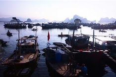 Fish market by Bai Tu Long Bay
