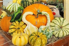 Halloween toys sell well in HCM City