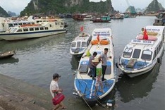 Van Don tourist boats to halt operation as Cai Rong Port closes