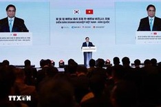 PM appeals for RoK investment into Vietnam’s priority areas