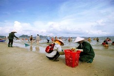 Sanitation workers battle rubbish in Ha Long Bay