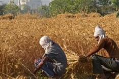 Climate talks test global resolve on warming