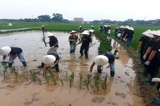 Hanoi eco-farm excursions appeal to foreigner tourists