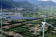 Vietnam among ASEAN leaders in green transition