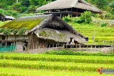 Moss-covered houses on Tay Con Linh Mountain