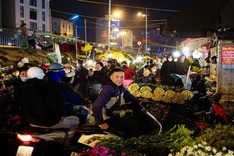 Quang An flower market bustles as Tet nears
