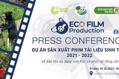 What's on October 11-17 (Daily updated)