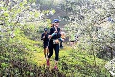 Around 4,300 runners to join Vietnam Trail Marathon in Son La