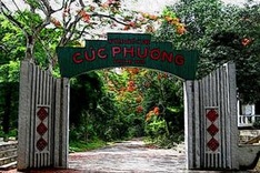 Over 100 wild animals released back to wild in Ninh Binh in first five months