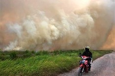 High risks of forest fires in many ASEAN countries