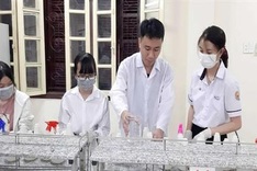 Hue students make hand sanitiser to fight coronavirus outbreak