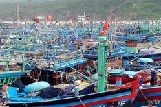 Quy Nhon fishing boats to be relocated