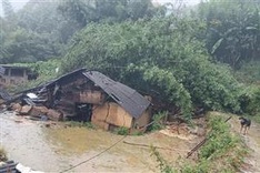 Seven missing in Lao Cai landslide