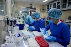 Vietnam records 33 more Covid-19 patients in Monday noon report