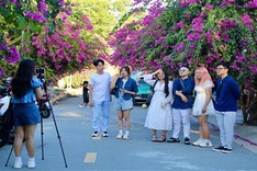 Bougainvillea blossoms on Nha Trang streets