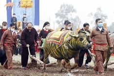 President attends ploughing festival in Ha Nam