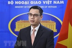 Vietnam pledges to protecting universal human rights values: Deputy FM