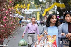 Hanoi flower market ahead of Tet