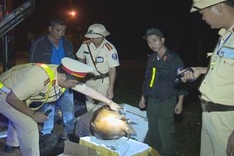 Wild animal trading rampant in Central Highlands