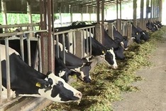 Six million people to need agricultural vocational training