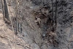 Man and two sons die hunting rats