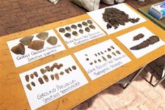 Singapore seizes 13 tonnes of pangolin scales enroute to Vietnam