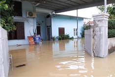 Nghe An submerged after torrential rain