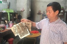 Households suffer plague of flies from dumpsite pollution