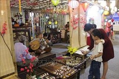Hang Luoc Street flower market opens for Tet in Hanoi