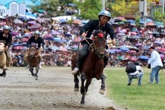 Reviving horse racing tradition in Lao Cai’s Bac Ha