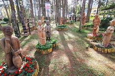 Hundreds of wooden sculptures displayed in Dalat pine forest