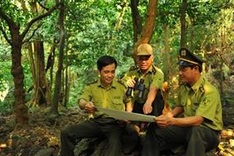 ‘Forest school’ helps spread love for nature