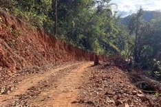 Illegal road destroys Central Highland national park land