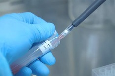 Vietnam reports more Covid-19 deaths