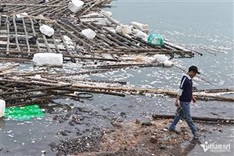 Ha Long Bay faces environmental crisis with massive post-typhoon debris