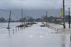 Vietnam can learn from Brussels' flood prevention experience: expert