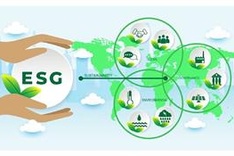 ESG Vietnam 2024 Forum officially debuts
