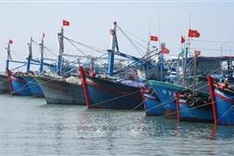 Tasks assigned to put an end to IUU fishing by year’s end