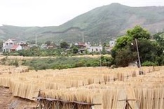 Bac Giang poor woman calls for help to save ill grandchild