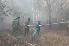 Tram Chim National Park fire caused by human burning activities