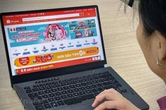 Hanoi ranks second in Vietnam E-Business Index 2023