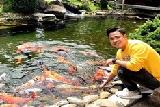Young man earns huge profits from koi fish