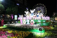 Annual Tết ‘flower road’ opens in HCM City