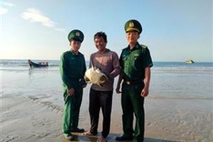 Rare sea turtle released back to wild