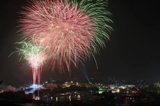 Hanoi not to set off fireworks on New Year