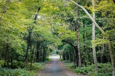 Forestry production expected to rise 5.5 percent annually in 2021-2025 period